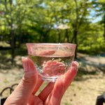 奈良未遥まとめ (インスタ転載)のツイート画像