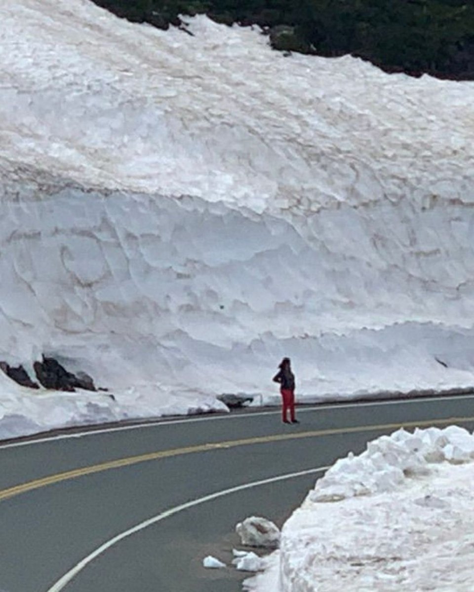 simmikher's tweet image. ✨ Wander often. Wonder always!
A walk to remember! #ArtistPoint, Mt. Baker
.
.
.
#Sammamish #lifeofarealtor #happiness #memories #friendship #gratitude