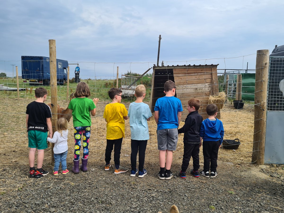 Hunter83Carol's tweet photo. Fab afternoon at our @PromiseAUKScot #E Mini Farm Club. Thank you to Melville Equestrian for teaching our young people about the animals and how to care for them! They all had an amazing time! #Engage #Empower #Educate #Evolve #Employabilitymatters https://t.co/qok4wcZa64