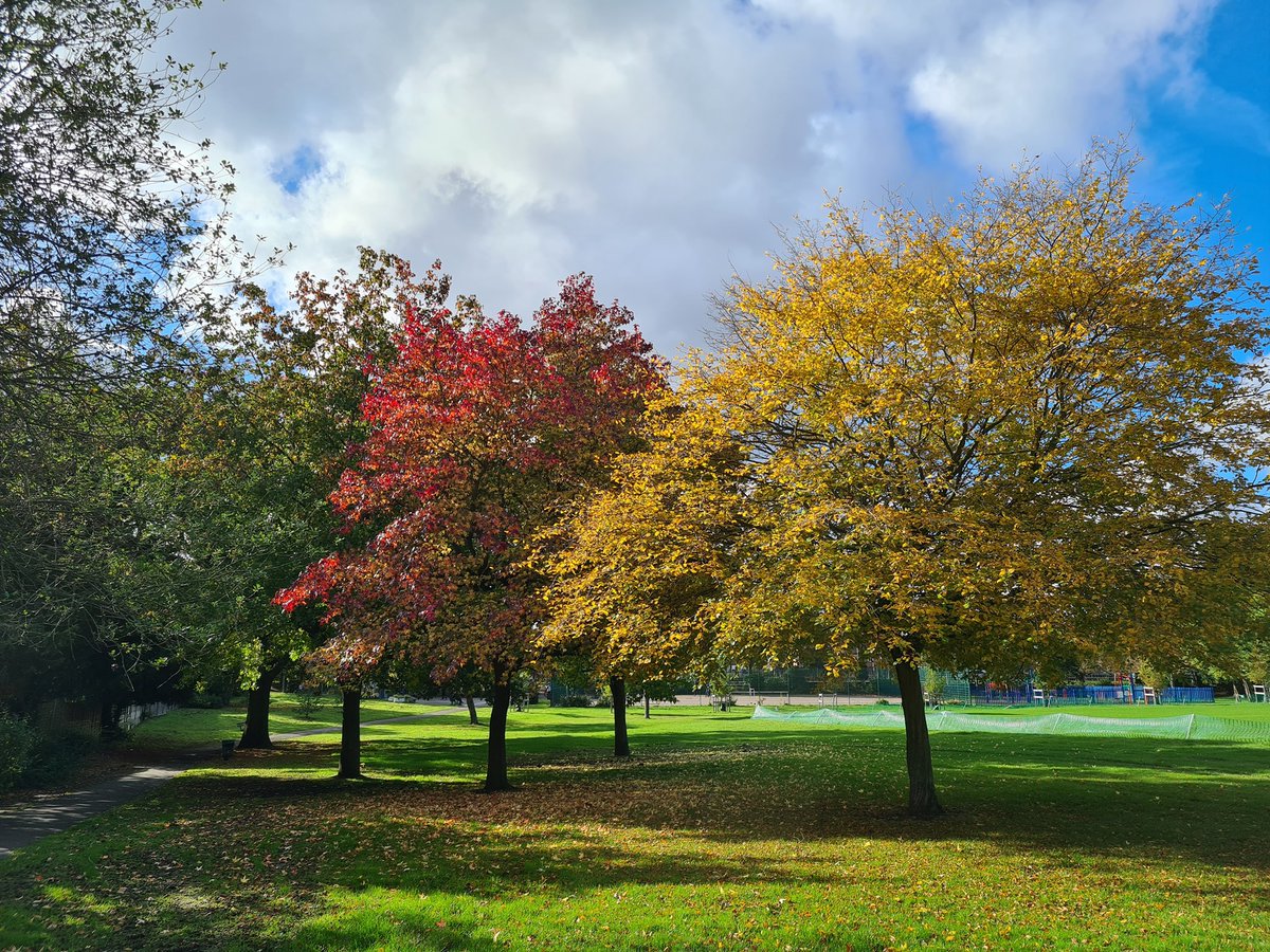 Friends of Basing Hill Park aim to reach 100 friends before Fall 2022.
📬
Please help us by sharing this link to the FB Group with friends, family and neighbours. Help meet the target!
facebook.com/groups/friends…

#friendsgroup #barnetparks #basinghillpark #nwlondon #playoutside