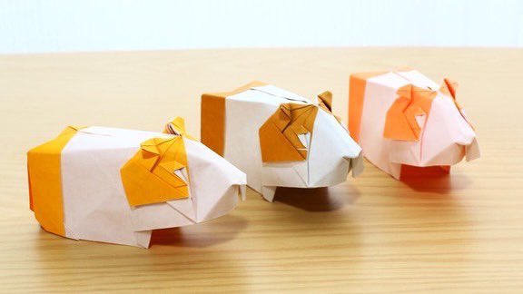 Follow 今井雄大 折り紙マイマイ S Origami Maimai Latest Tweets Twitter