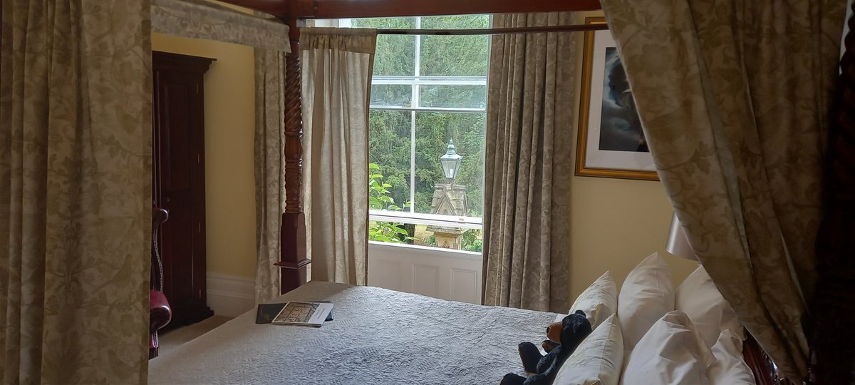 GlendonBandB's tweet photo. @GlendonBandB new drapes for the #FourPoster bed and window. A heritage green pattern https://t.co/RlXT7LvcHU