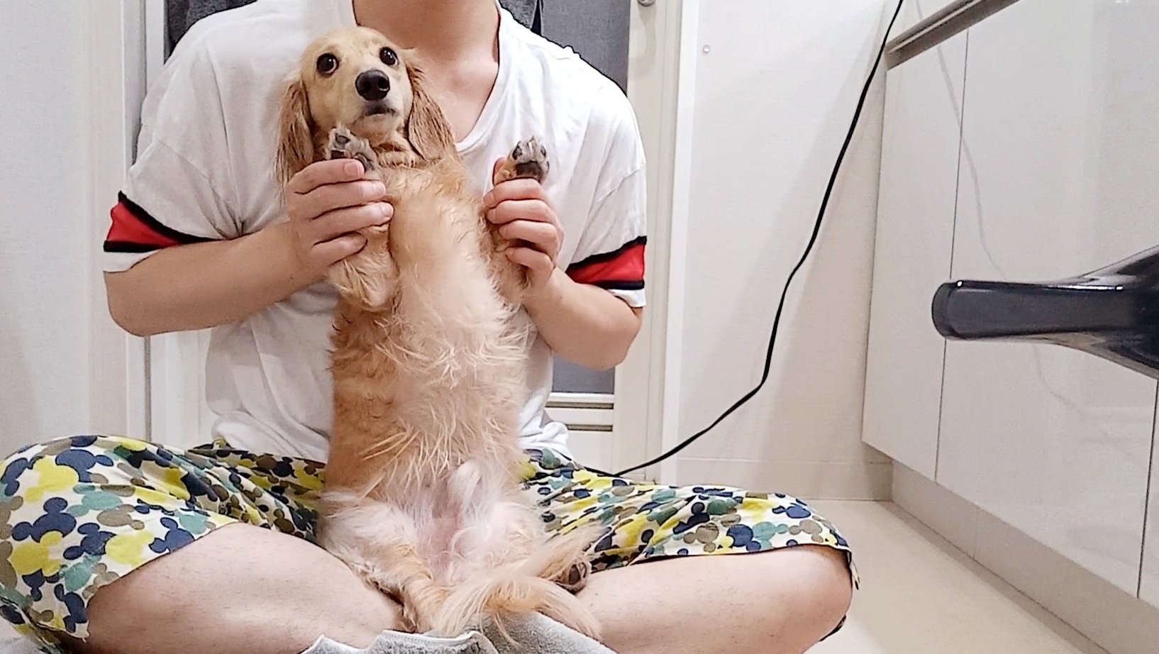 犬のお風呂 Twitter Search Twitter