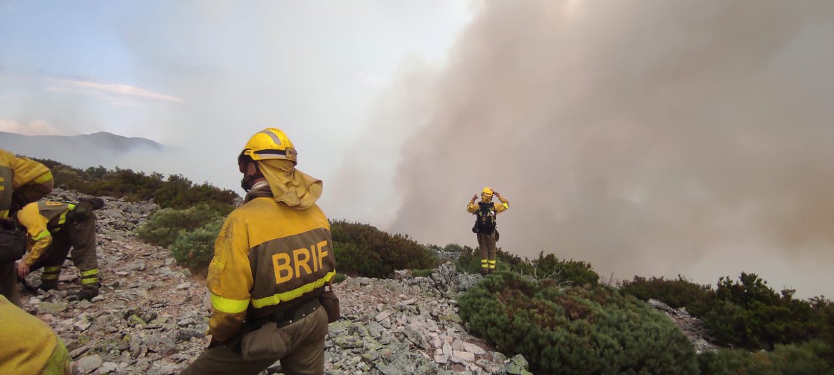 SubGobSALA's tweet photo. 🔥🚒 El despliegue actualizado de los medios del Gobierno en los incendios de #Salamanca es de más de 430 personas, 8 medios aéreos y más de 90 terrestres

▪︎@UMEgob:241 militares, 91 vehículos
▪︎@guardiacivil:110 agentes
▪︎@mitecogob con 2 #BRIF con 78 👨‍🚒 y 9 medios aéreos https://t.co/3KQ1Unm7iZ
