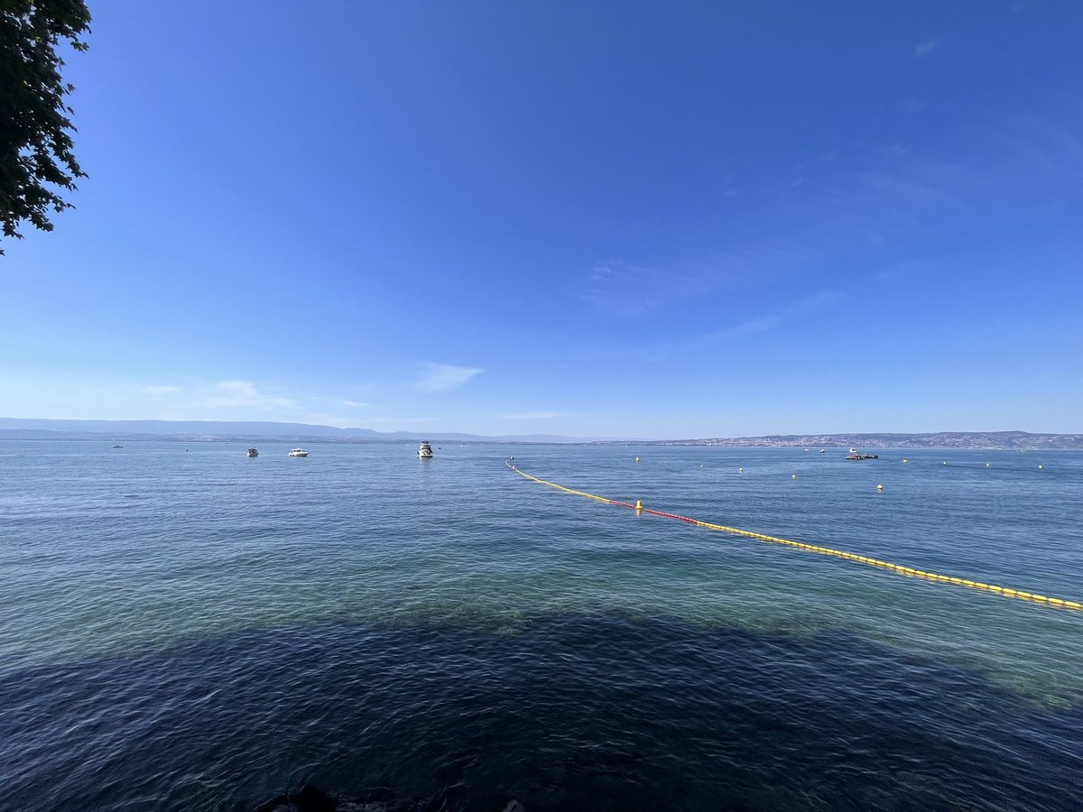 Swimscaper tweet media