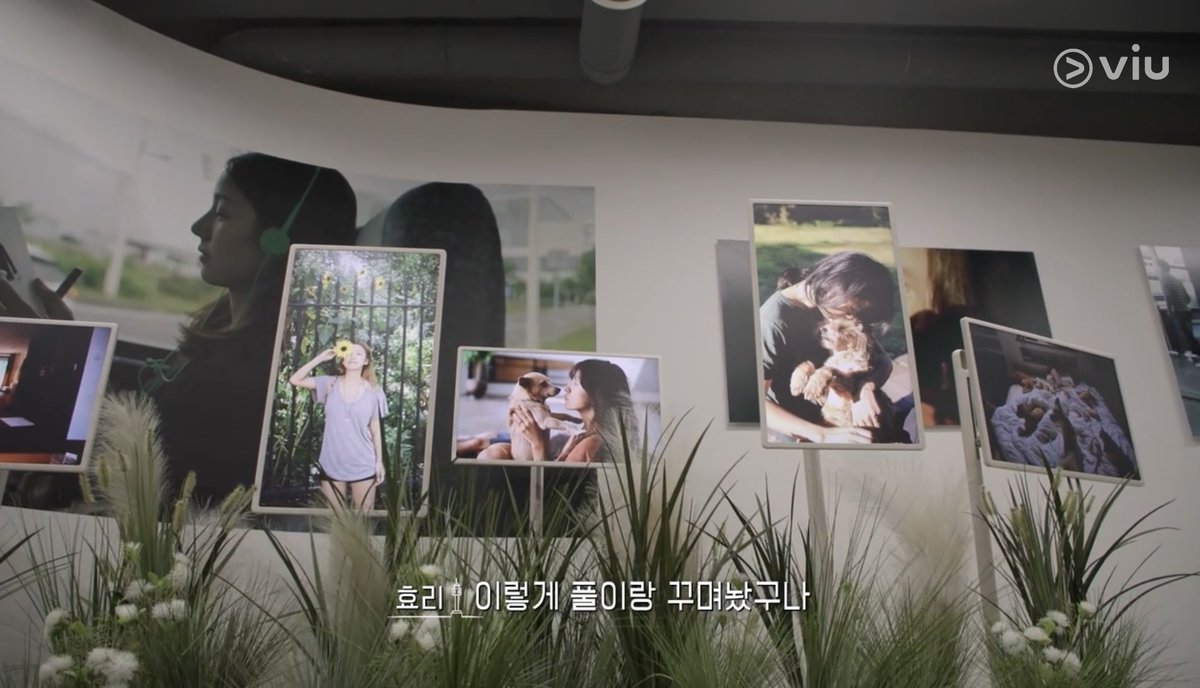 1OOplus_'s tweet photo. นิทรรศการภาพถ่ายของพี่ฮโยริมีแต่รูปสวยๆ อยากไปดูบ้าง 🥹 #seoulcheckin https://t.co/L8vZG8wMYp