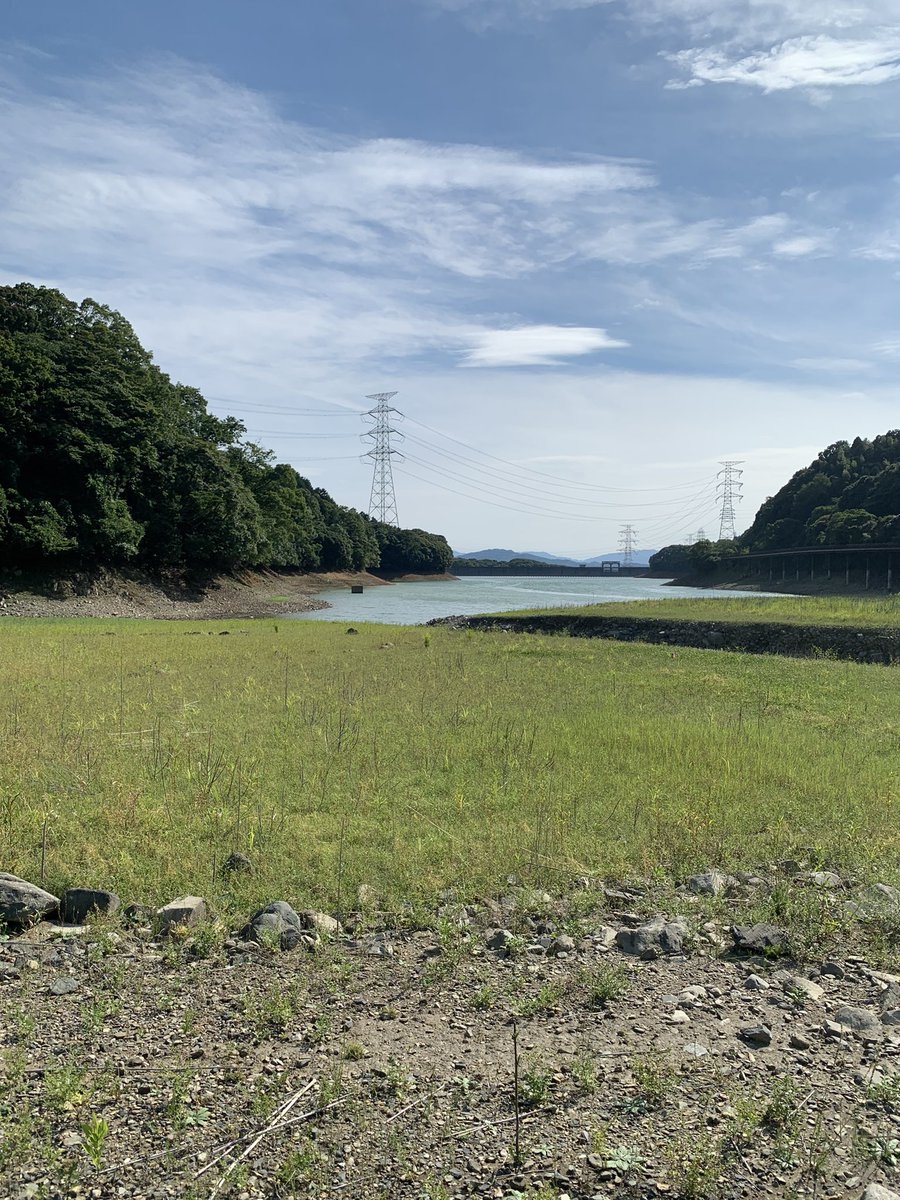1220_sho's tweet photo. 本日爆風の中15時から🎣
このサイズしか当たりがない🫡
濁り入ってたからクランクで出るかなーて思ったけどなにも出ず結局ネコリグで⭐️
#TULALA
#モンストロ
#66S https://t.co/qoCRX4OK5k