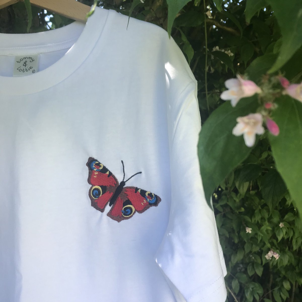 tommy & lottie tweet media