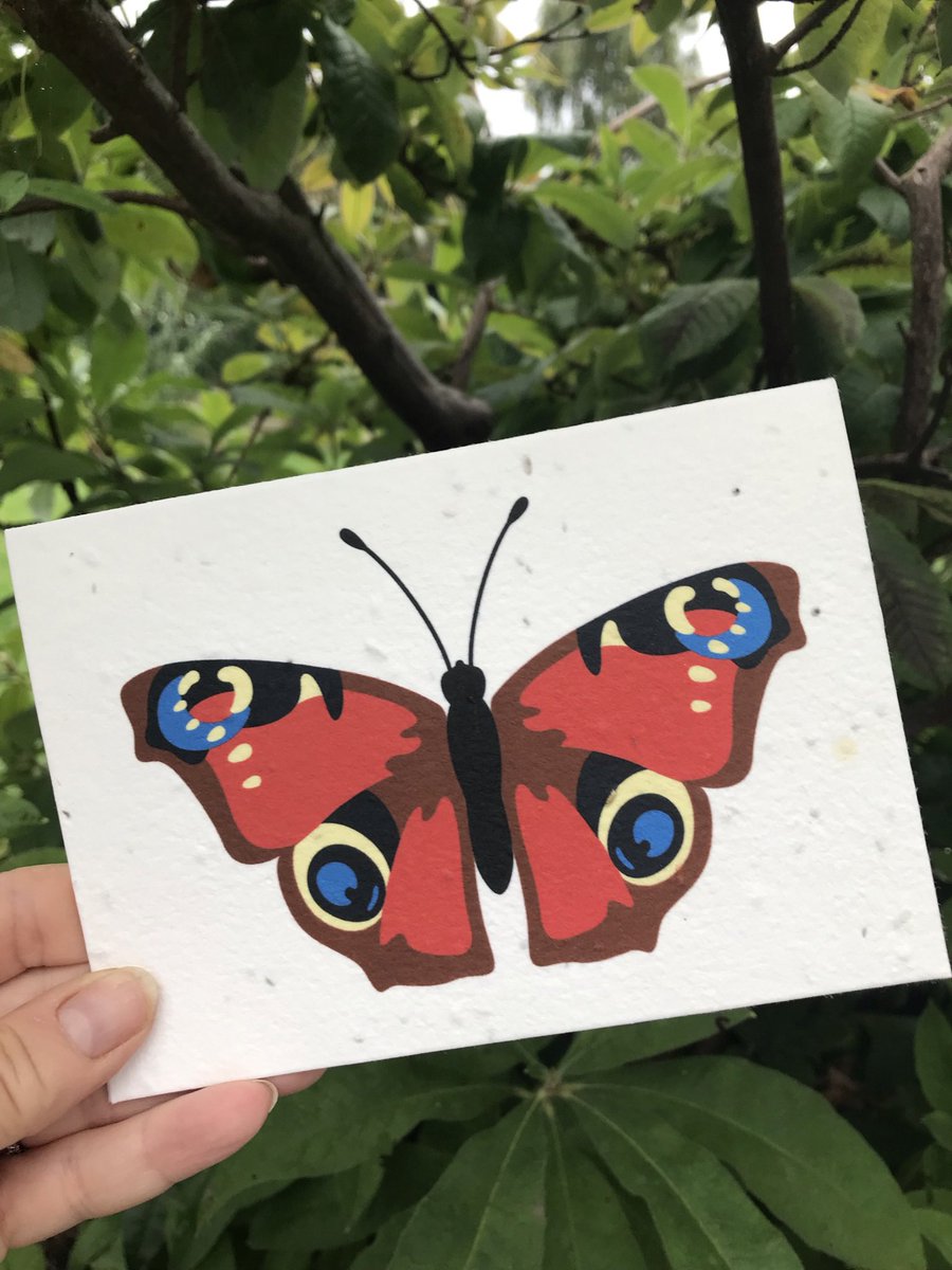 tommy & lottie tweet media