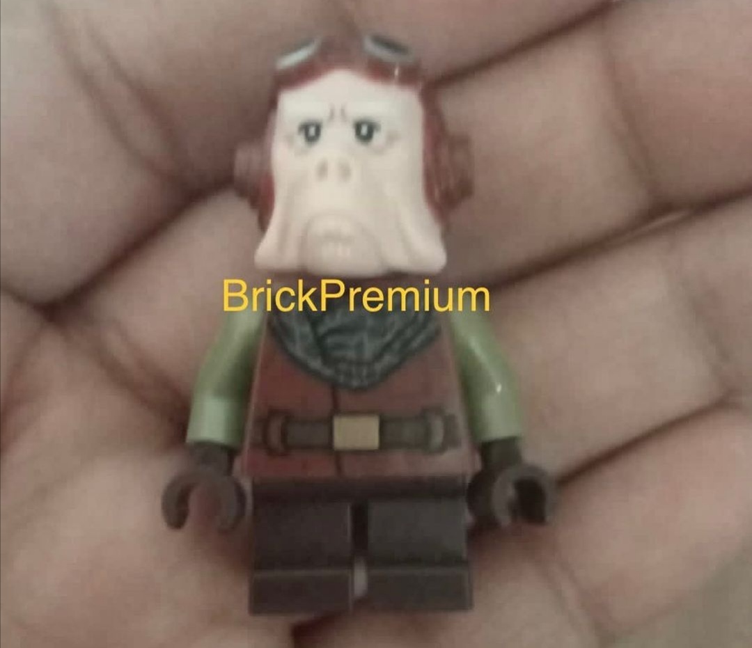 Falconbricks's tweet photo. Possible new UCS Razor Crest Minifigure!
#legoleaks #legonews #legostarwars #TheMandalorian #legoRazorCrest #lego #starwars #ucs https://t.co/j8oWo4y7lL