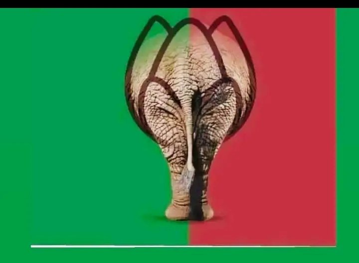Zakir997's tweet photo. New politicial party #AliPohotu in town!!
#GoHomeRajapaksas
#GohomeRanil
#Nodealgama
#Aragalaya https://t.co/88hEze0GCL