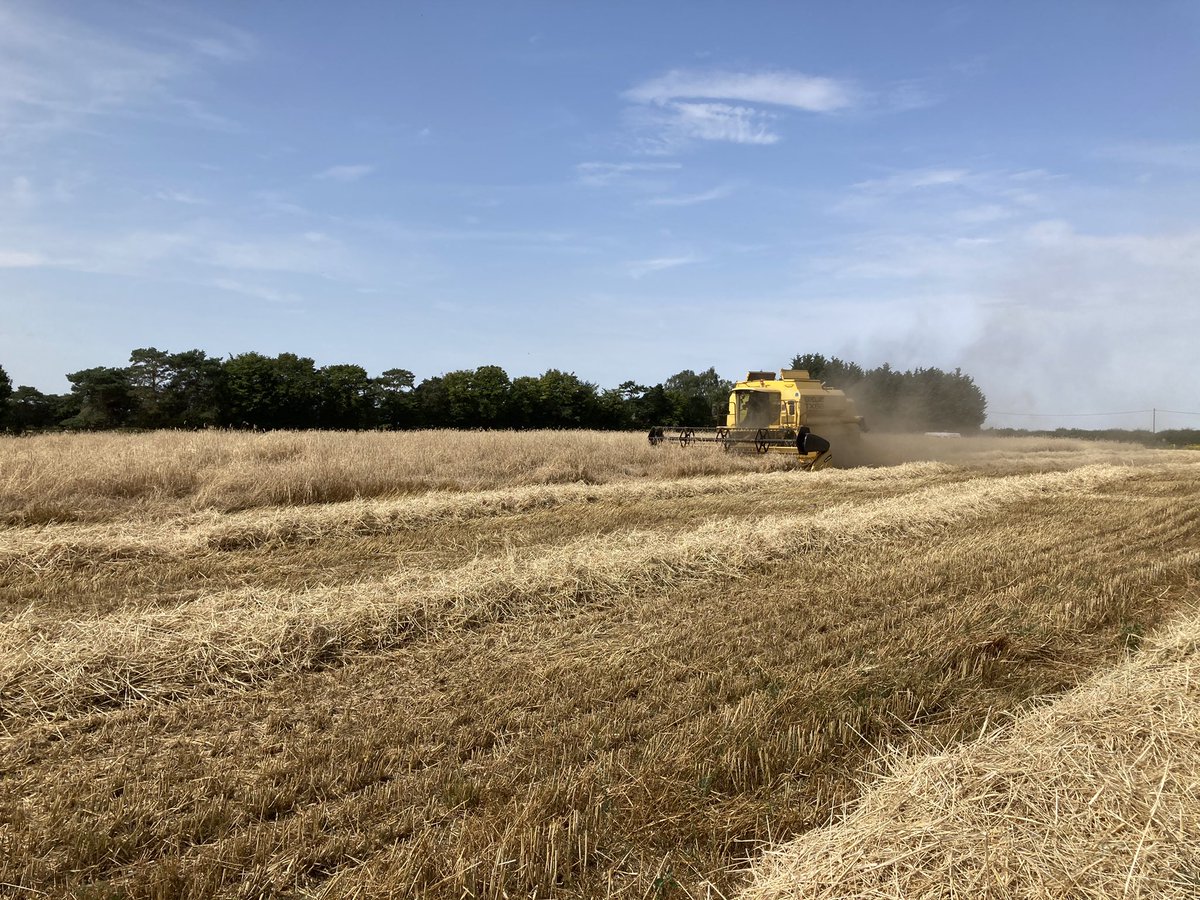 Standard first field combining