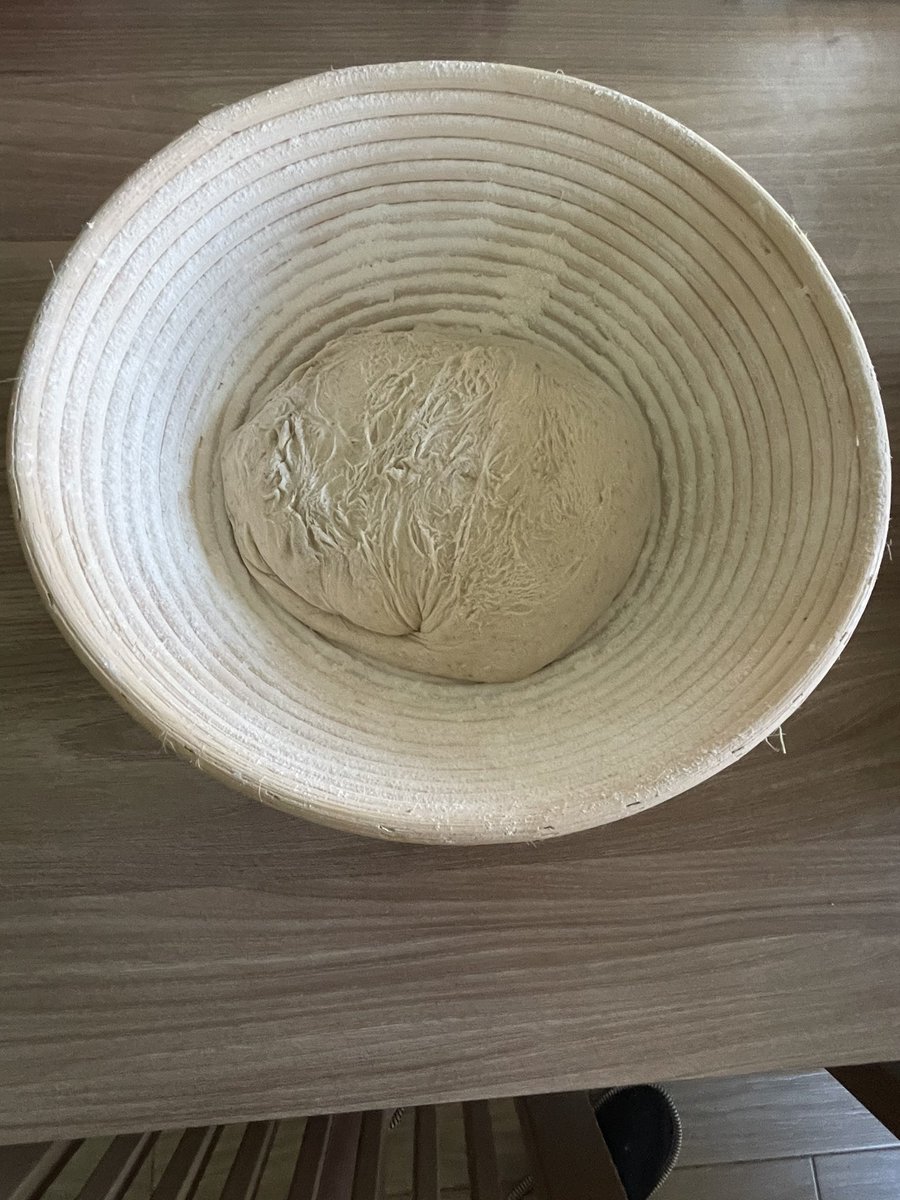 KitchenBastardy's tweet photo. Todayโs dough #sourdough is raising ๐คฉ Today I will bake a bread for the first time in ooni konda ๐ช๐ #bake #dough #baking #ooni #konda #kitchen #bread #breadoven https://t.co/soUQjJ7iSX