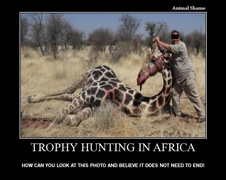 CagesFree's tweet photo. #banCanHunting #bantrophyhunting #bancubpetting
Canned hunting or trophy hunting facilities offer their customers the opportunity to kill exotic and native wild animals. https://t.co/z8mWaAE6SG
@Catlord568 https://t.co/SKAACAN4EK