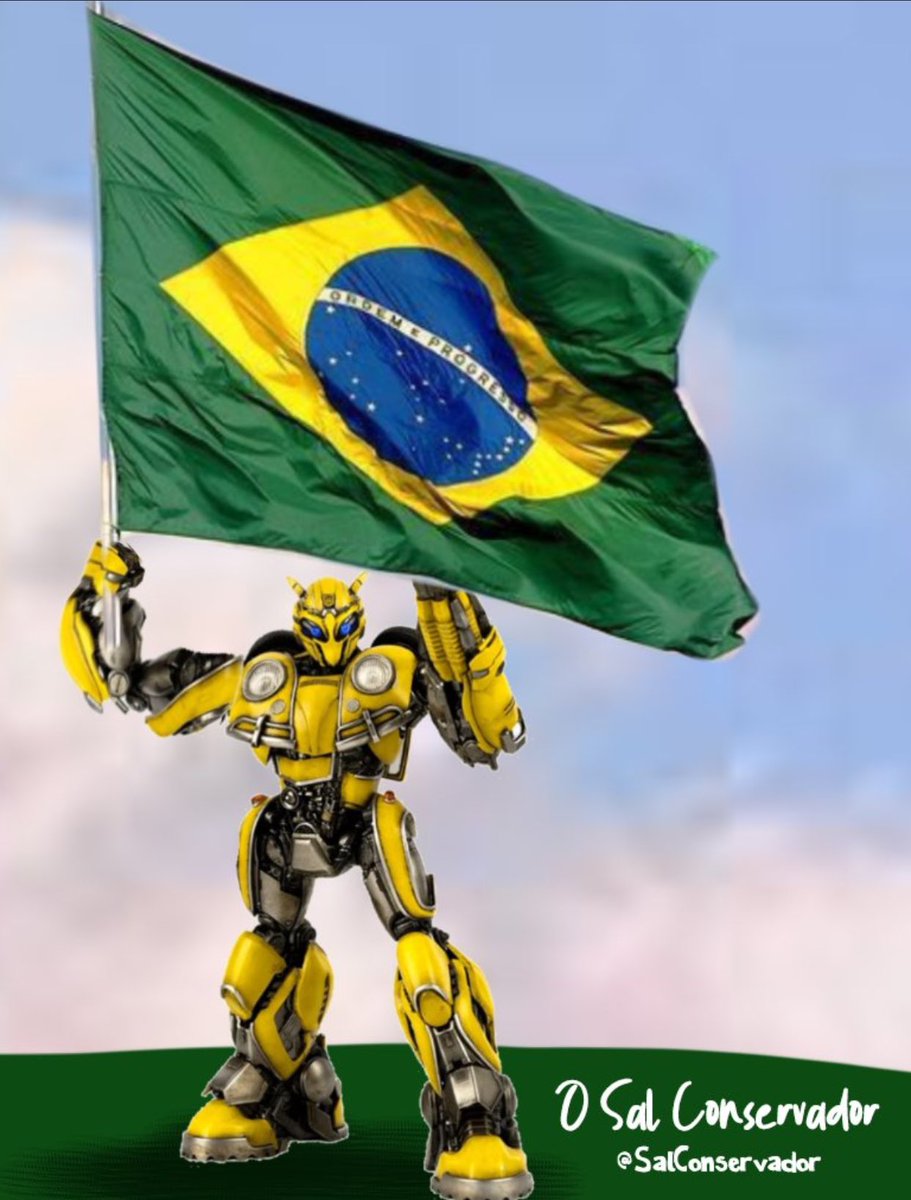 EduardoDurand's tweet photo. Bom domingo para todos ! BRASIL 🇧🇷 #BolsonaroNoPrimeiroTurno #BolsonaroReeleito2022 https://t.co/90avHETnCj