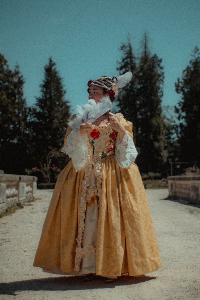 Windox_'s tweet photo. Voilà mes photos de la superbe robes à la française du 18eme créé par une superbe costumière (@)professeurswag sur insta ) https://t.co/S5j9PhzW1q