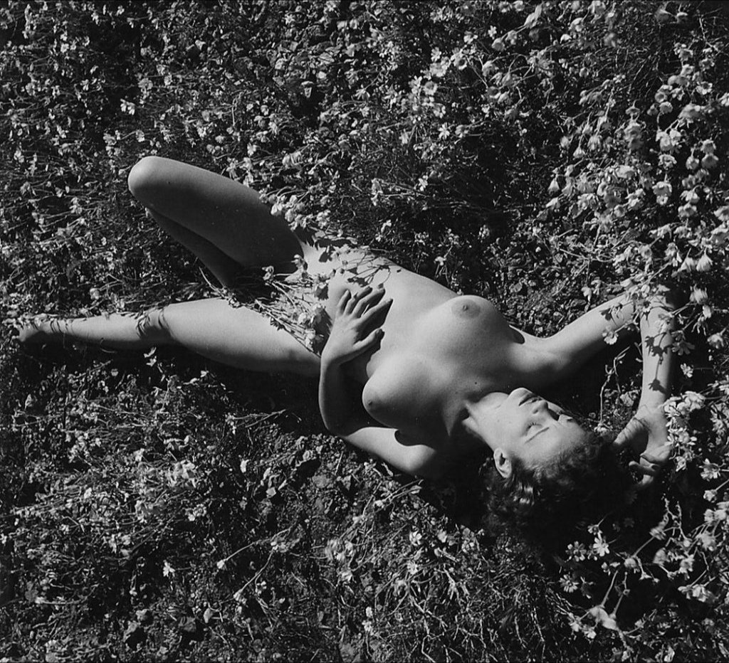 Les rêves De la femme nue Couchée dans les fleurs ~ Habashli Kunzeï ~ #haïku __________________________________🖤•°. © André de Dienes