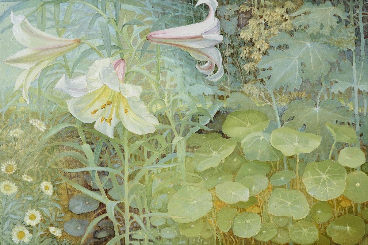 Jane Wormell
