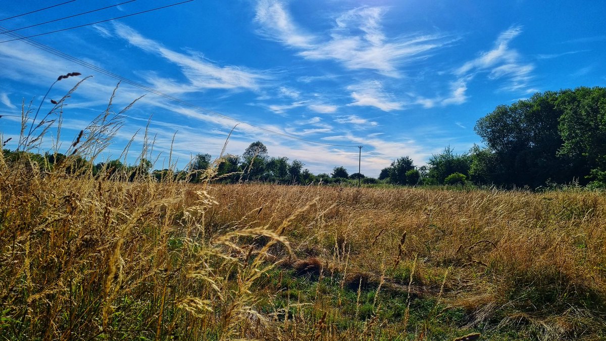 HeroesStoma's tweet photo. Summer morning ramble.
#clearingthemind #positivity #beautifulday #NaturePhotograhpy #natureatitsbest https://t.co/CnL4kEm6lq