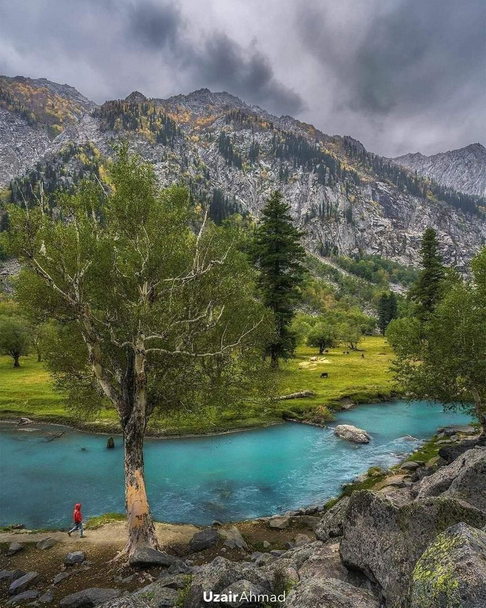 Paktourntravel's tweet photo. شاھی باغ، گبرال، وادی کالام، سوات۔۔💕
Stunning beauty of Shahi Bagh, Gabral, Kalam Valley 🌿🌲
Located amid high mountains at a distance of about 14km from #Utror and 30km from #Kalam valley, Shahi Bagh offers unique landscape to the visitors. https://t.co/oukBQQBfZ3