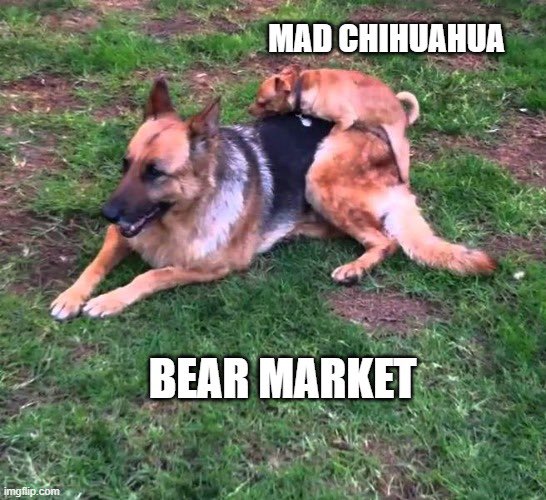madchihuahuaNFT's tweet photo. Thatz how I roll mothef😈ckerz!

#MadPack #soldout #teamsnot https://t.co/0hRbnUojga
