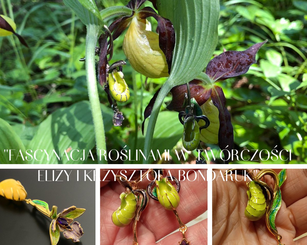 BondarowskiE's tweet photo. We invite everyone in love with plants and art to the ceremonial opening of the exhibition"Fascination with plants in the work of Eliza and Krzysztof Bondaruk", which will take place on July 19, 2022 at 10:00 in the hall of the Faculty of Biology at the auditorium 
#bondarowski https://t.co/uYJBlvqGVj
