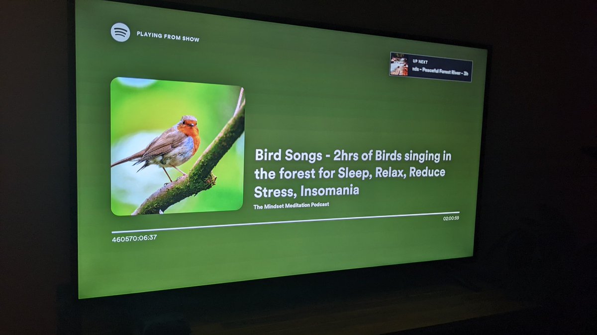 V1DEOJAMES's tweet photo. Anyone else listen to Bird songs for 460,570 hours?? #softwareGore https://t.co/afGeIfvXke