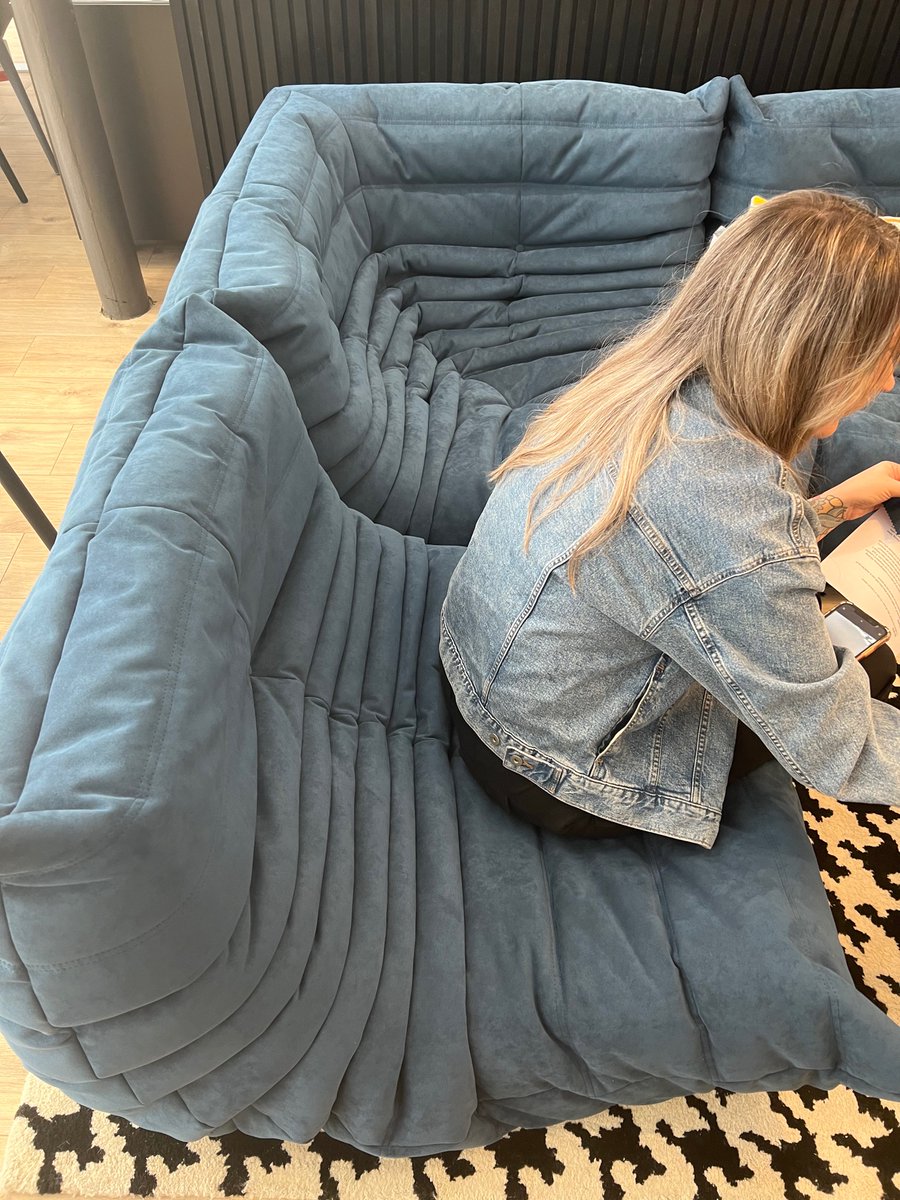 Thankfully the sofa passed the comfort test <a href="/LigneRosetUK/">Ligne Roset UK</a>