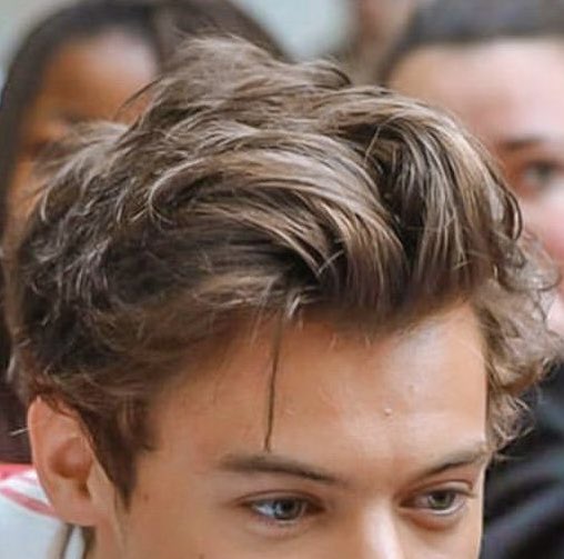 HSFEATURES's tweet photo. I just want to touch Harry Styles’ hair. https://t.co/07ImKWo0fD