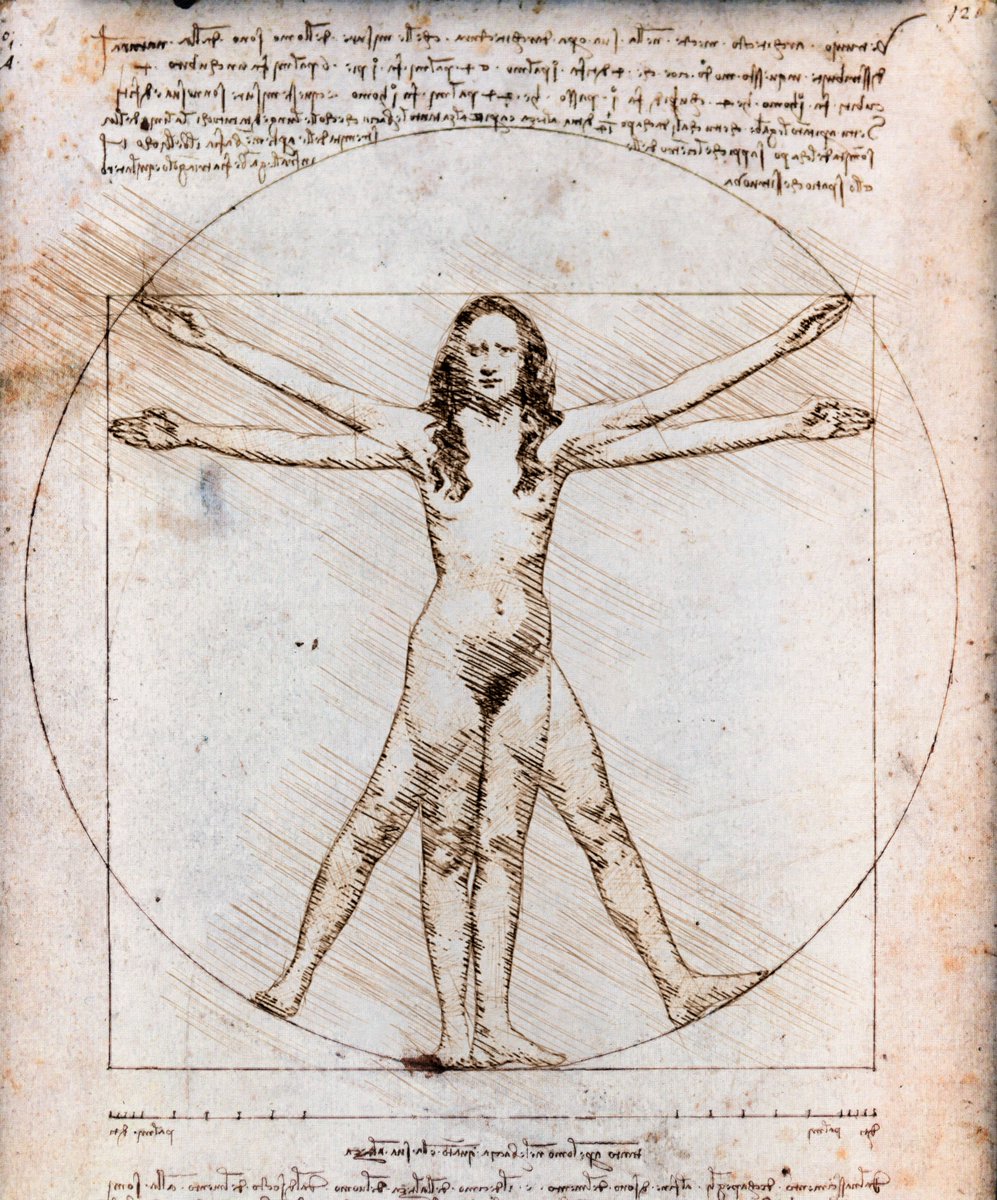 DavidBokeh's tweet photo. Mujer de Vitruvio (Vitruvian Woman)
Leonardo da Vinci + David Bokeh https://t.co/i9nHYL9n3m