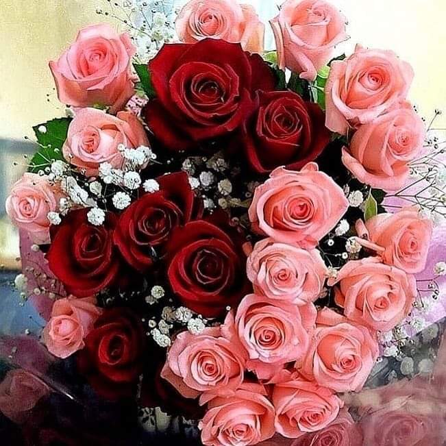 Mughal Builders 👷‍♂️ (@muhamma31242421) on Twitter photo 