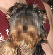 3,141592 tweet media