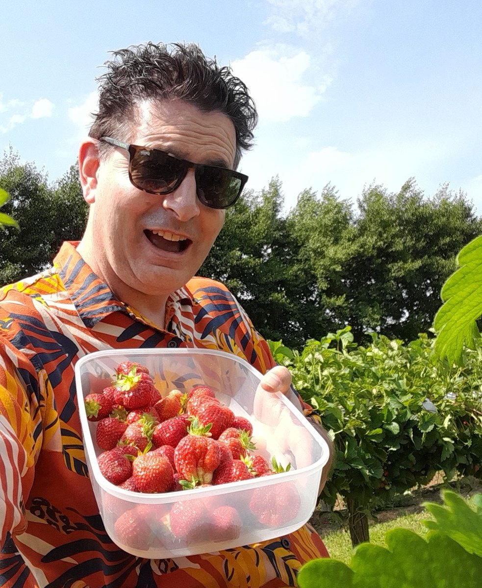 Strawberry anyone <a href="/fordeabbey/">Forde Abbey & Gardens</a>