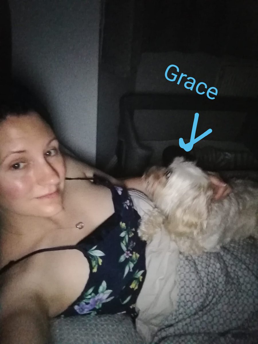 missbgerman's tweet photo. @AndJBa5 This is a good representation of how its going and how I have to sleep 😂😂😂 he was fine at first but now he is demanding attention - I think he has finally realised she's here to stay 😁 https://t.co/gsNViOzeHi