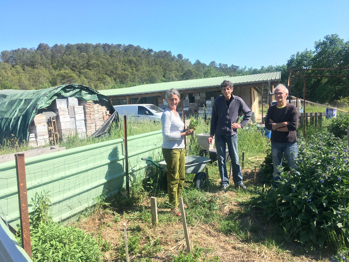 We loved our visit from Sagliocco Ensemble this summer. A great exchange in the heat of southern France.  #Sagliocco #freyastang #didierpeigle #corinnefaucon #frenchtheatre #gard #SimsalabimProductions