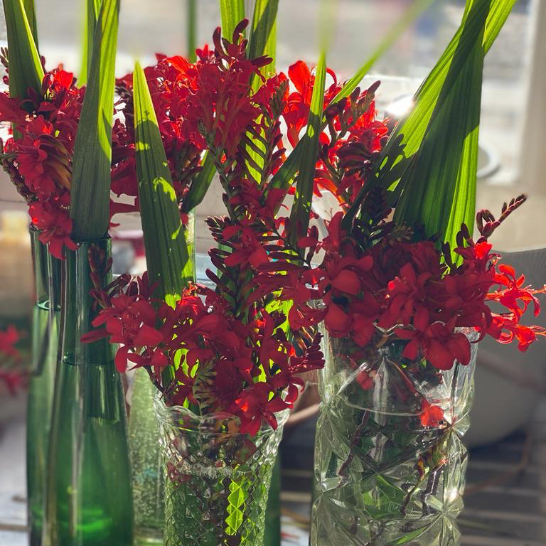 BallyknockenHCS's tweet photo. The #Crocosmia is absolutely gorgeous here in #Ballyknocken at the moment. 

But it’s taking over the garden in a big way so we harvested lots of it today &amp; it's ready to go to our dining tables 😊 

#flowers #corosmia #flowergarden #dining #cookeryschool #bnb #bedandbreakfast https://t.co/cgFbWlYJNQ