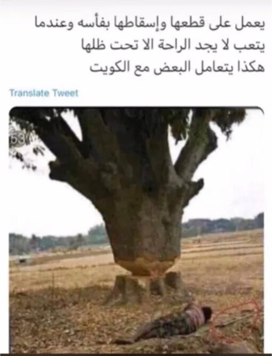 حفظ الله الكويت وشعبها المخلص الوفي من كل مكروه 🤲🏻ونعمه الاختيار  👏🏻👏🏻👏🏻#محمد_صباح_السالم