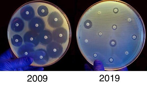 nishi_kazue's tweet image. Pra quem acha que a pandemia (que ainda nem acabou) foi o grande desafio da nossa geração, duas coisas vão fazer a pandemia parecer apenas um pequeno incômodo:

1) Mudanças climáticas
2) Isso aqui