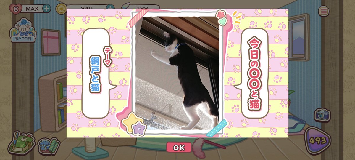 Shellingfordcat's tweet photo. この写真をおじさまと猫のゲームに投稿した方誰ですか？？
うちの子と激似なのでぜひお話伺いたい！(多分首輪も同じ笑)
#おじさまと猫 #〇〇と猫 #ハチワレ #猫 https://t.co/JKa5cu4TPx