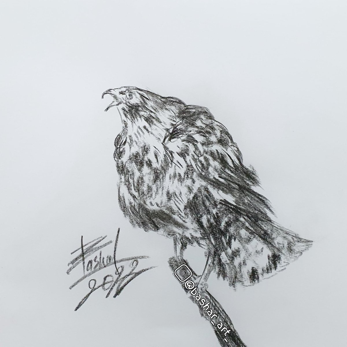 My artwork
Eagle .. by charcoal 
#Eagles #charcoal #coal #charcoalart #ArtistOnTwitter #artist #art #artwork #drawing #drawingart #draw #painting #paint #painter #ArtificialIntelligence #paintedphotography #birds #BirdTwitter #BirdWorld