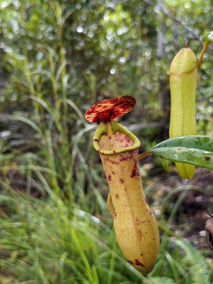 Dr. Claire Raisin tweet media