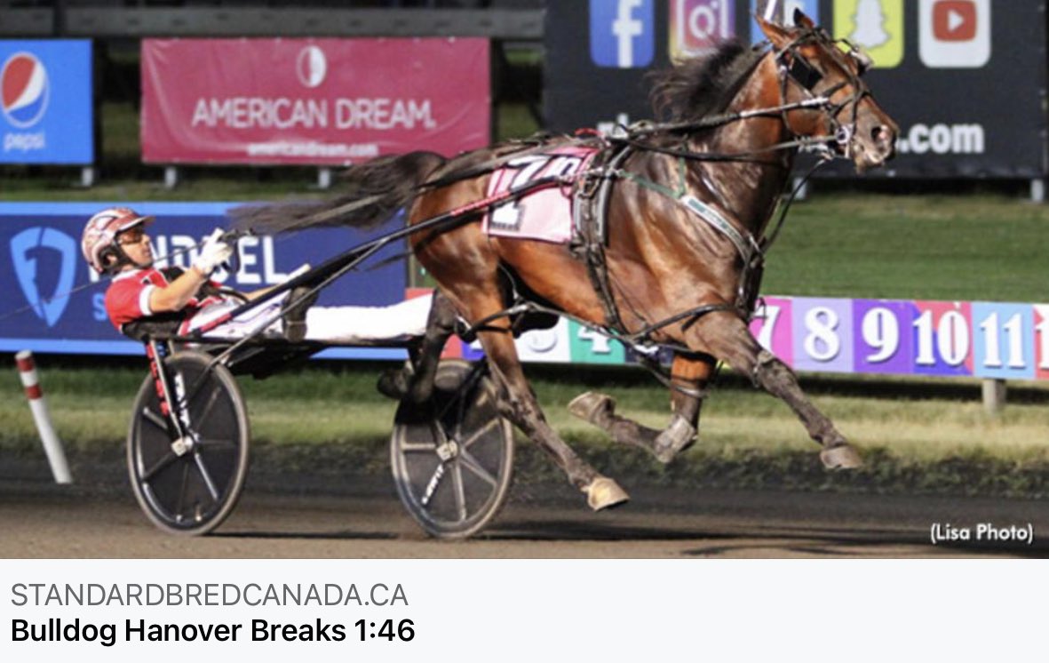 So why wasn’t this all over Nationa News tonight!!!!

Bulldog Hanover is now the fastest horse in the history of #harnessracing after pacing a mile in 1:45.4 at The Meadowlands Racetrack on 16/7/22. Congratulations to driver Dexter Dunn Kiwi sensation! bit.ly/3aHrhFO