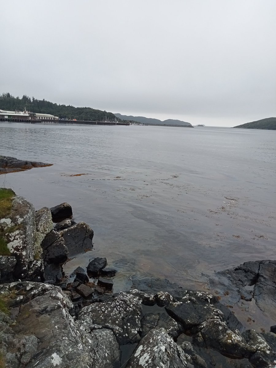 Oil spill in Lochinver at Church of Scotland
#HMCoastguard #Sepa