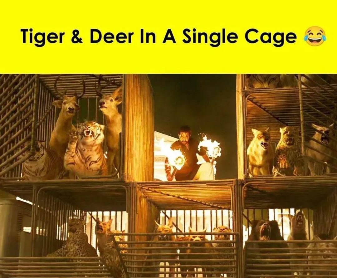 Ritesh Kumar's tweet - "@NateOfford You will never see this , tiger and deer in same cage. It can only happen in Indian movies " - Trendsmap