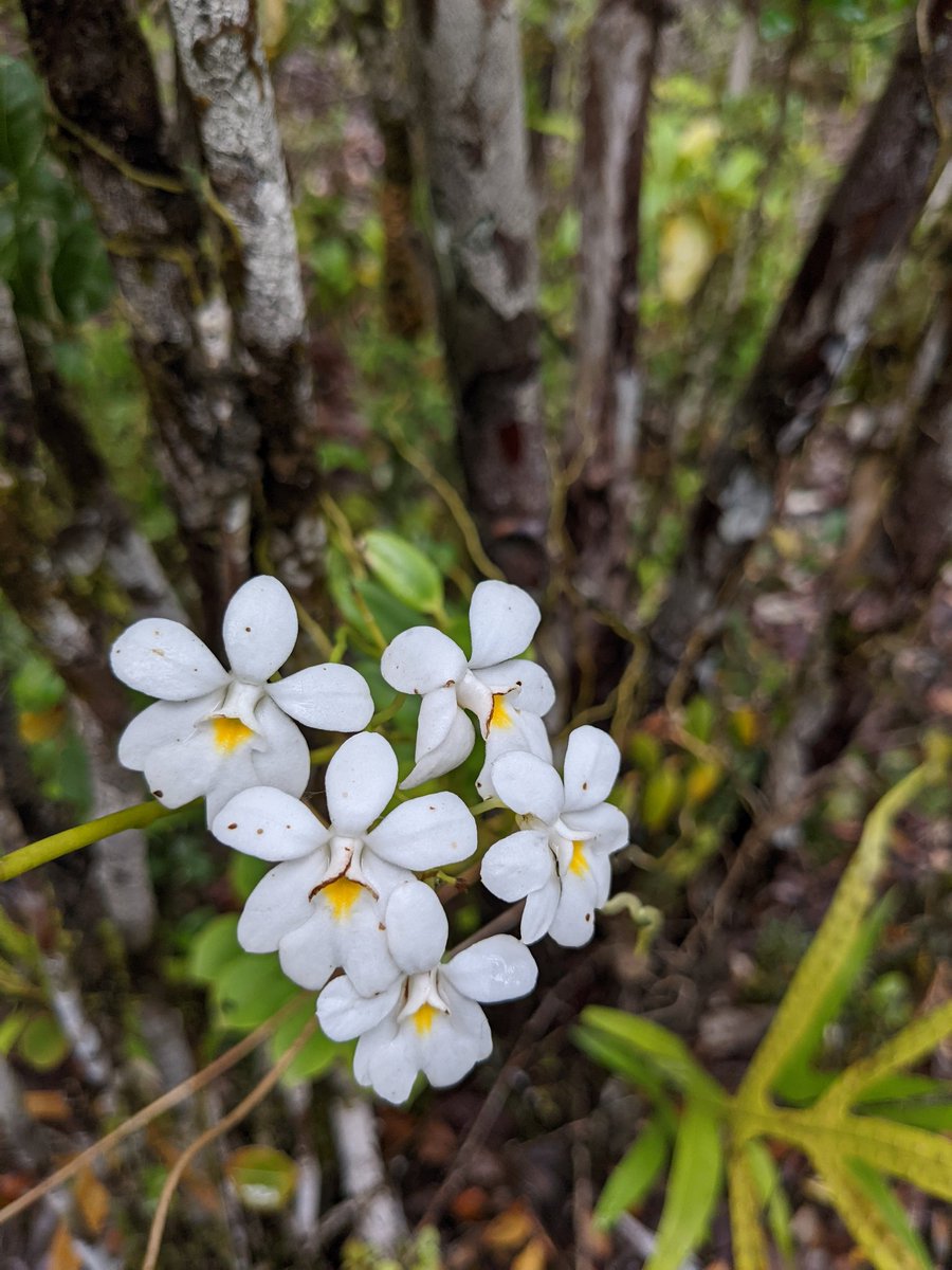 Dr. Claire Raisin tweet media