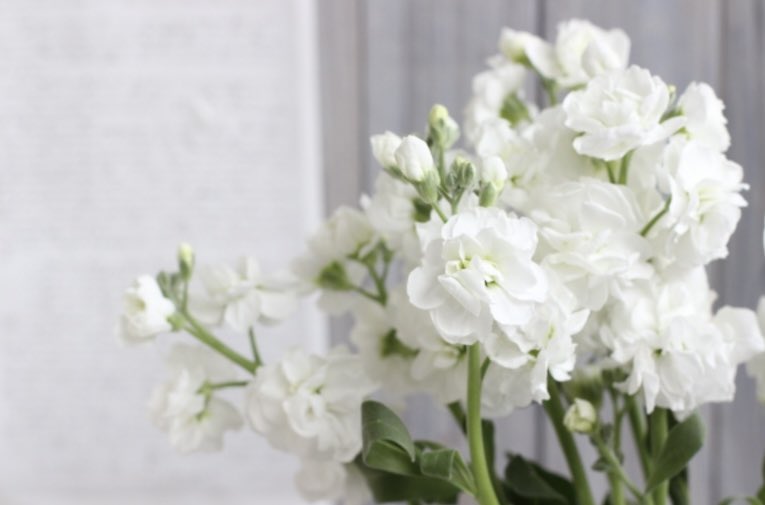 Nami 還魂 Ep９ ユルがムドクの髪に挿した花は ストック 白のストックの花言葉は 思いやり ひそやかな愛 片思いを表す花のようです T Co 3cexgr72jq Twitter