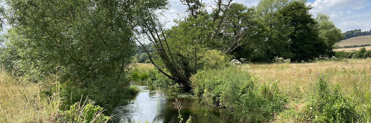 RiverDarent's tweet photo. Our society - formed in 1985 to preserve the River Darent - has just joined Twitter!
#chalkstream #RiverDarent #Kent https://t.co/QHhStSceod