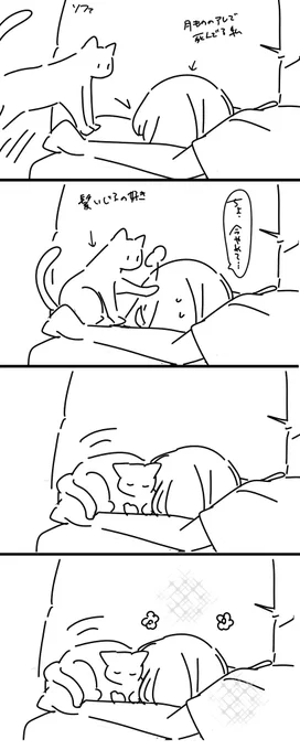 夕方。猫セラピー 