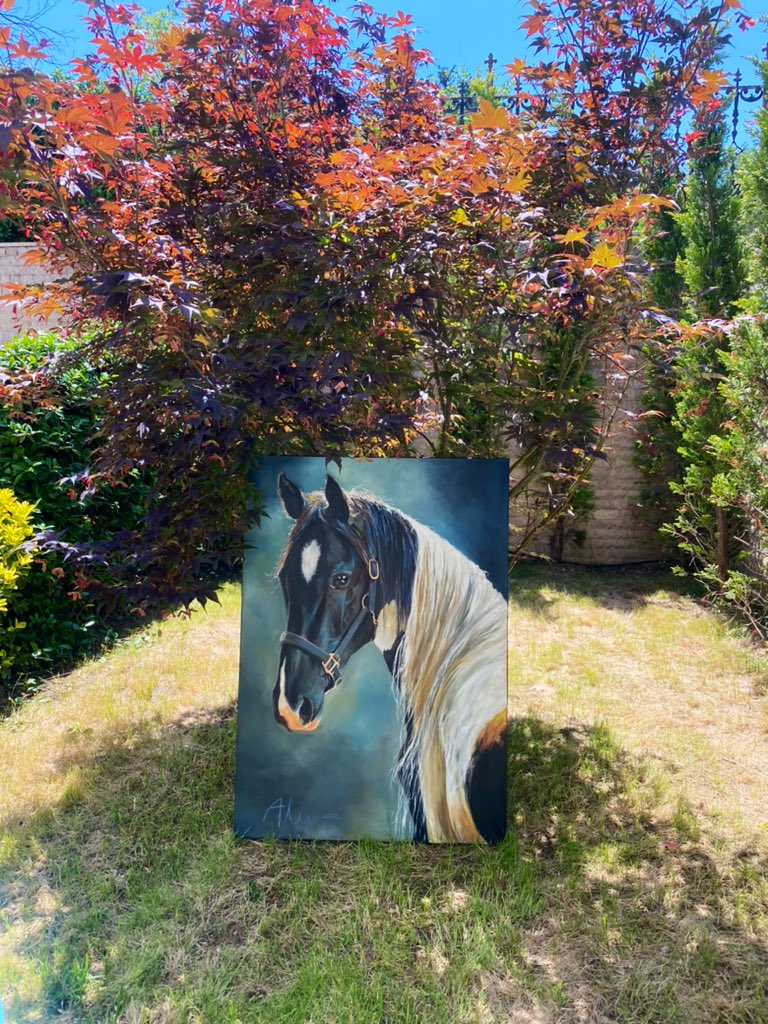 _ahus_'s tweet photo. Happy Sunday 🐎🧲♥️ https://t.co/ELgDzMJXET