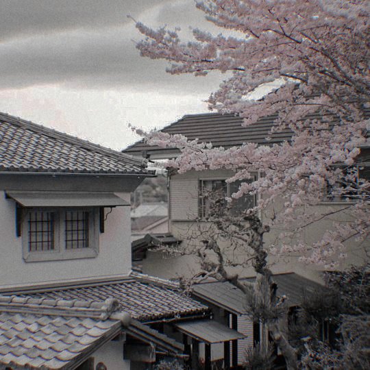 2minscenery's tweet image. altered
— minsung filo au

wherein slade (minho) is stucked in a time loop. a bomb was put inside the school and the only way to end this never ending cycle is to save everyone and find the bomb before it explode. but what happens when he unintentionally drags a fellow student?